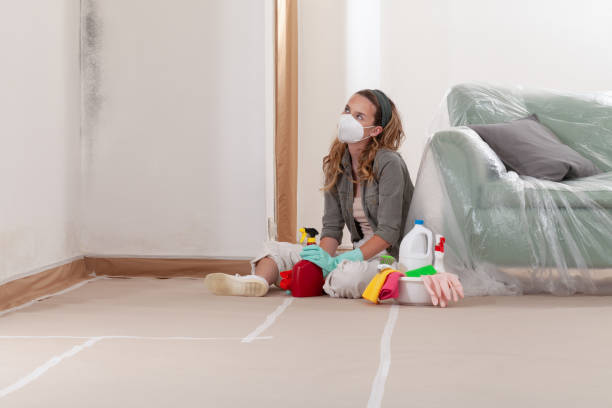 Reliable Mold Testing contractor in Chester, IL by WQB Mold Removal